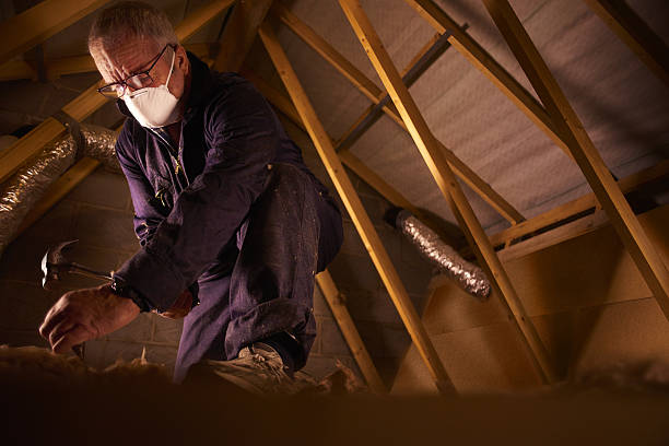 Best Geographic-Specific Insulation Services in Frontenac, KS